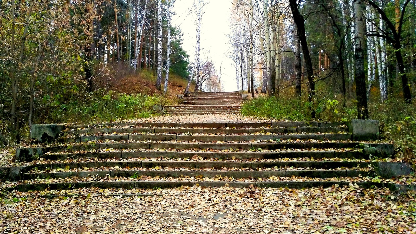 Mid autumn. - My, Yekaterinburg, , Walk, Mayakovsky Park, Autumn, The photo, Longpost