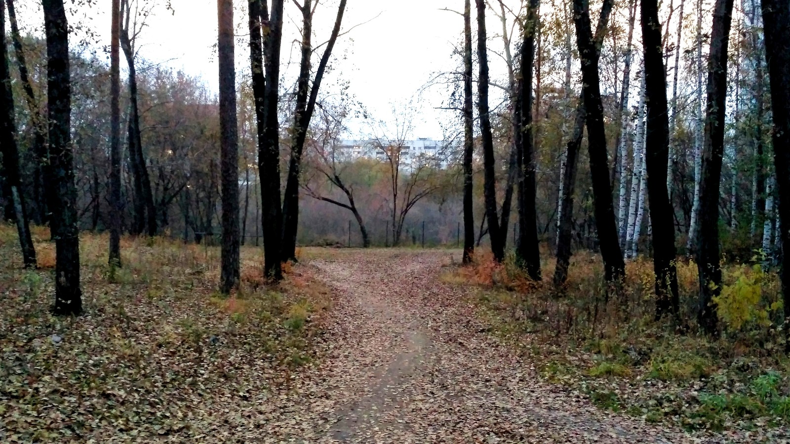 Mid autumn. - My, Yekaterinburg, , Walk, Mayakovsky Park, Autumn, The photo, Longpost