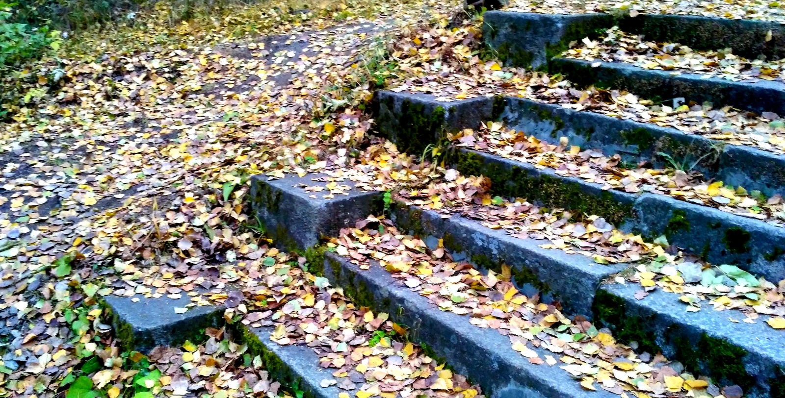 Mid autumn. - My, Yekaterinburg, , Walk, Mayakovsky Park, Autumn, The photo, Longpost