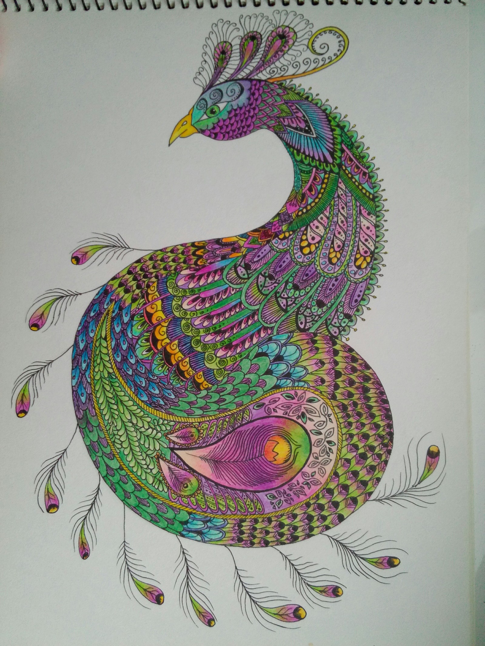 Zentangle, dudling part. - My, Doodle, Art, Zentangle, Painting, Longpost