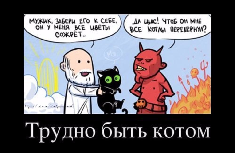 Трудно быть котом - Кот, Дьявок, Бог, Дилемма, Честно украдено