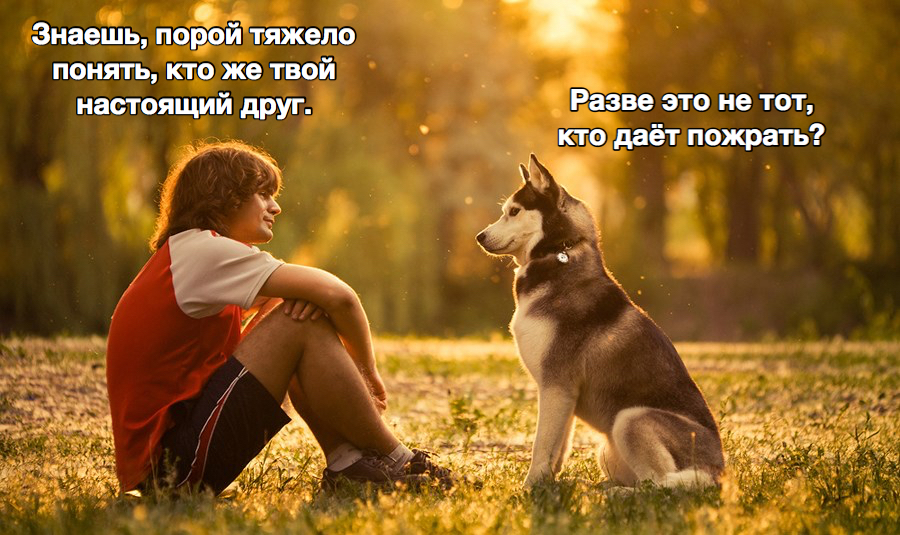 1508580337182979440.jpg