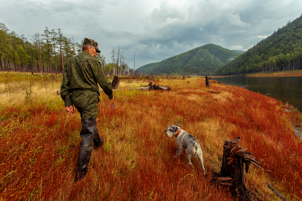 The Zeya Sea in the lens: the dog-talisman Samson, red shores and pike ear - My, Primdiscovery, , Reserves and sanctuaries, The nature of Russia, Longpost