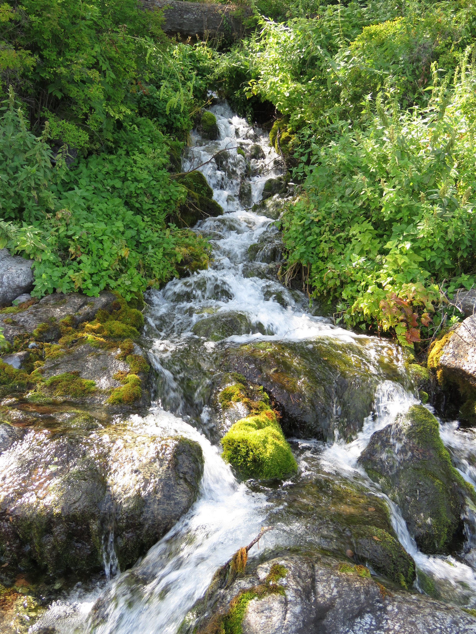 Where I live, that's what I admire. Baikal. - My, Baikal, Summer, Longpost