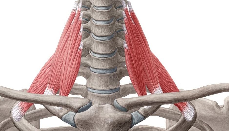 Causes of numbness in hands - Massage, Neck and collar area, 