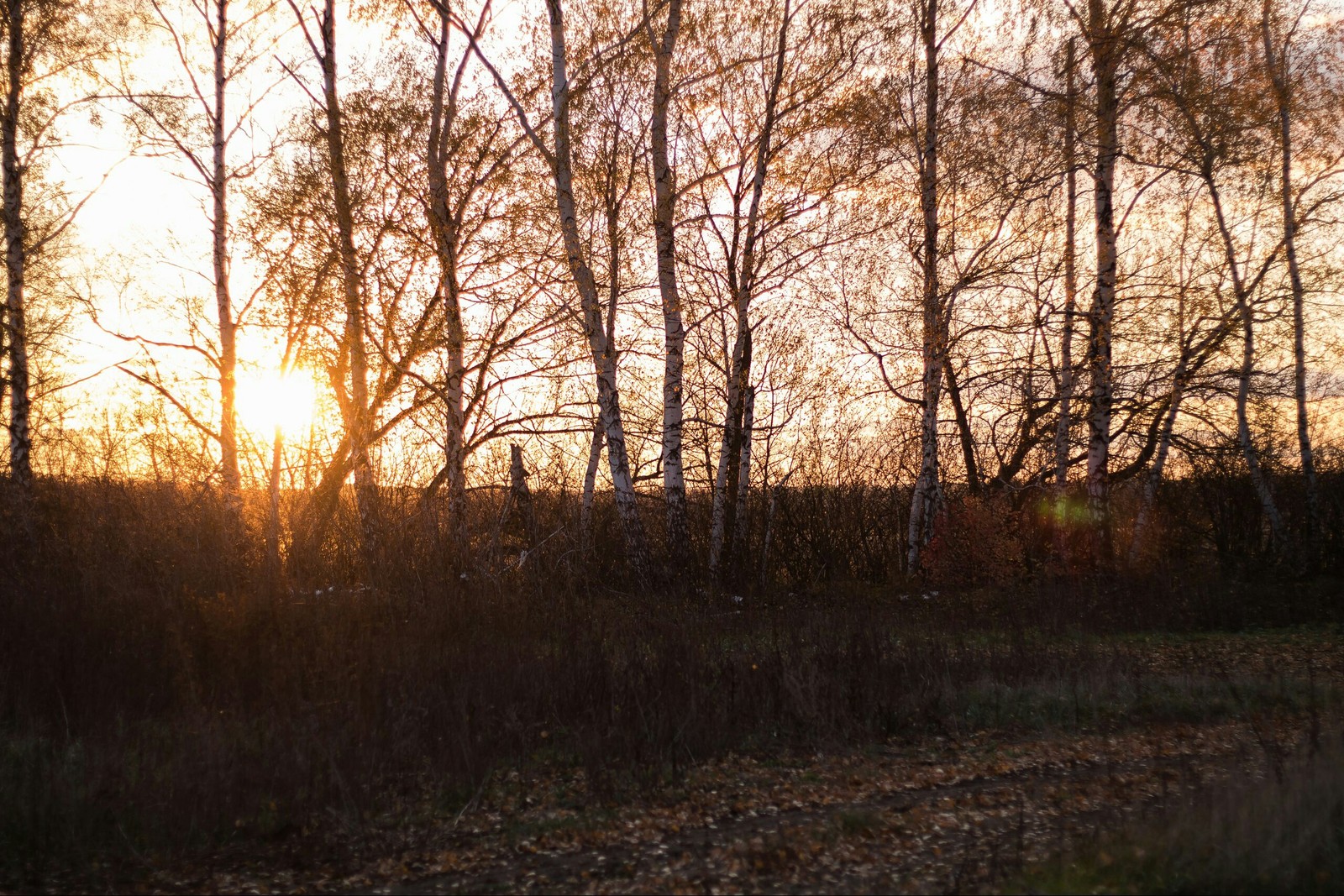 This is how the day ends. - My, The photo, Sunset, Battle of sunsets, Autumn, Longpost