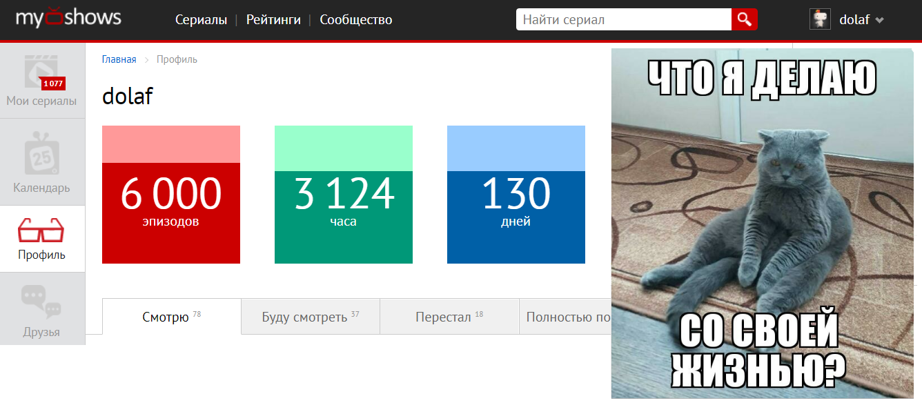 Что я делаю со своей жизнью? - Моё, Myshows, Сериалы, Кот, Что происходит?, Юбилей, Одиночество