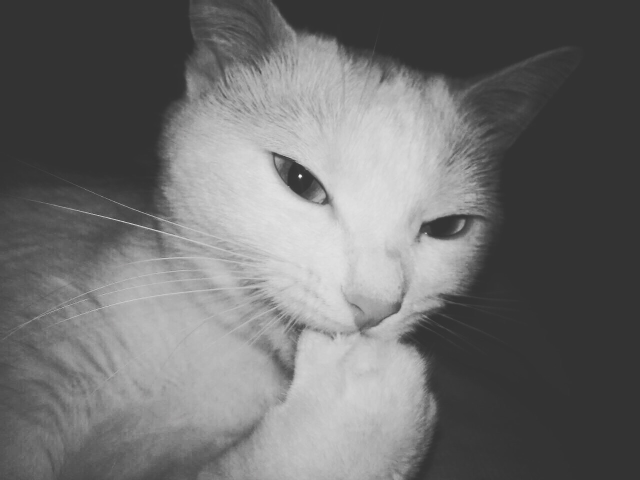 Пошалим? | Пикабу