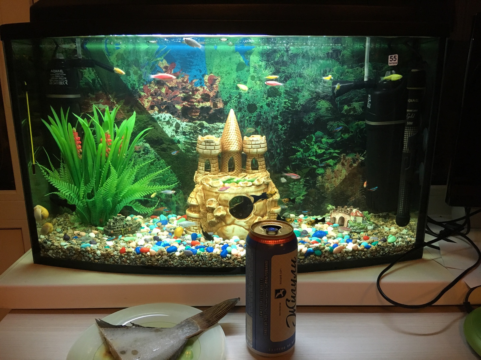 Warning - My, A fish, Aquarium, Beer, Snack