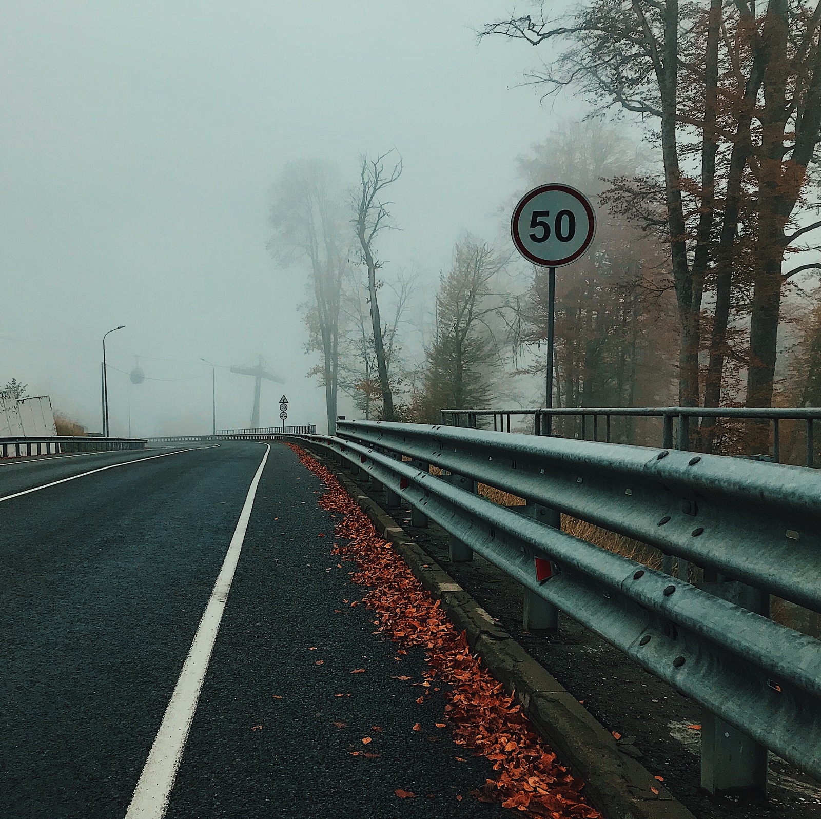 Autumn in Sochi - My, Sochi, Krasnaya Polyana, Autumn, Fog, Longpost