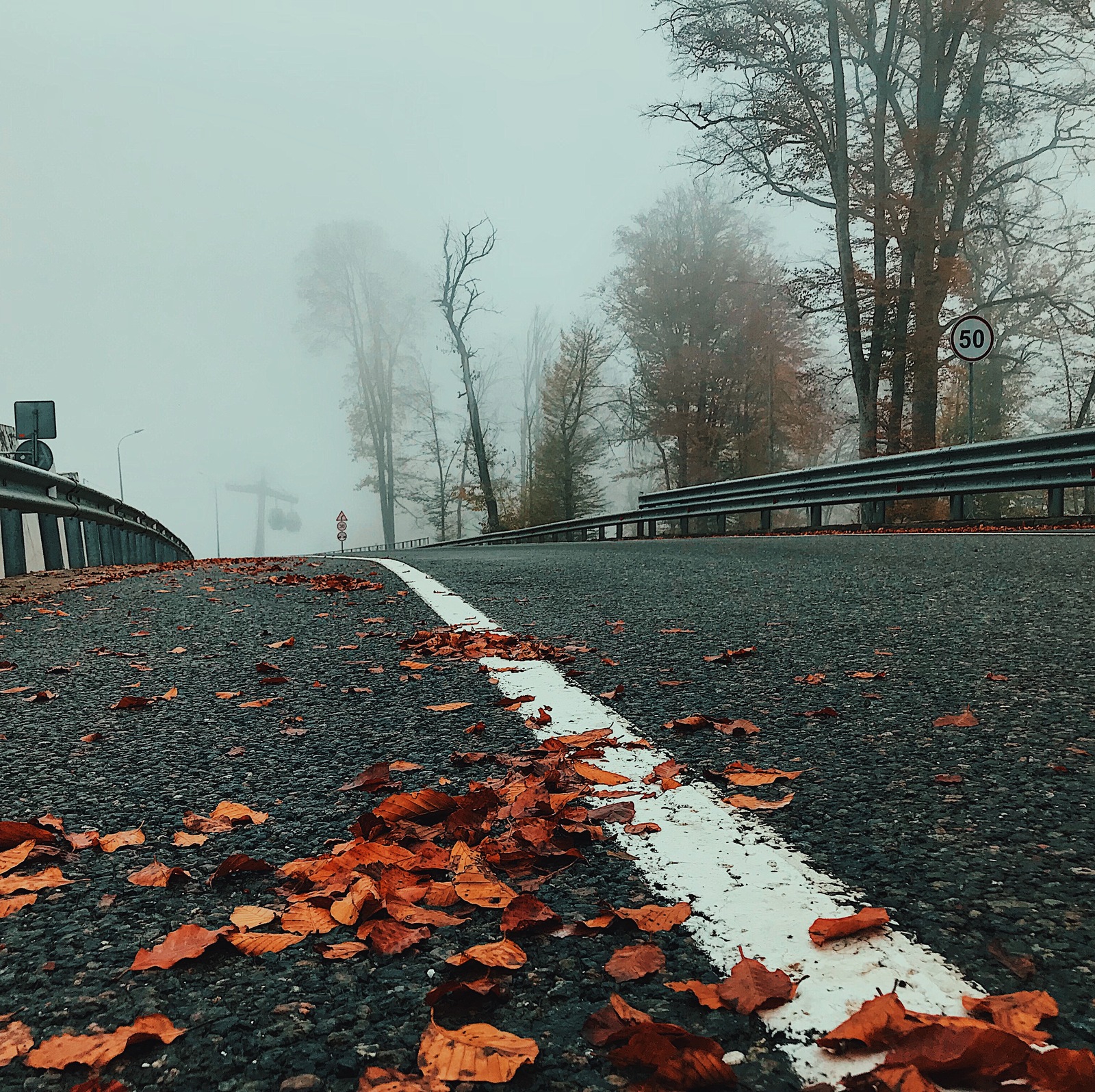 Autumn in Sochi - My, Sochi, Krasnaya Polyana, Autumn, Fog, Longpost