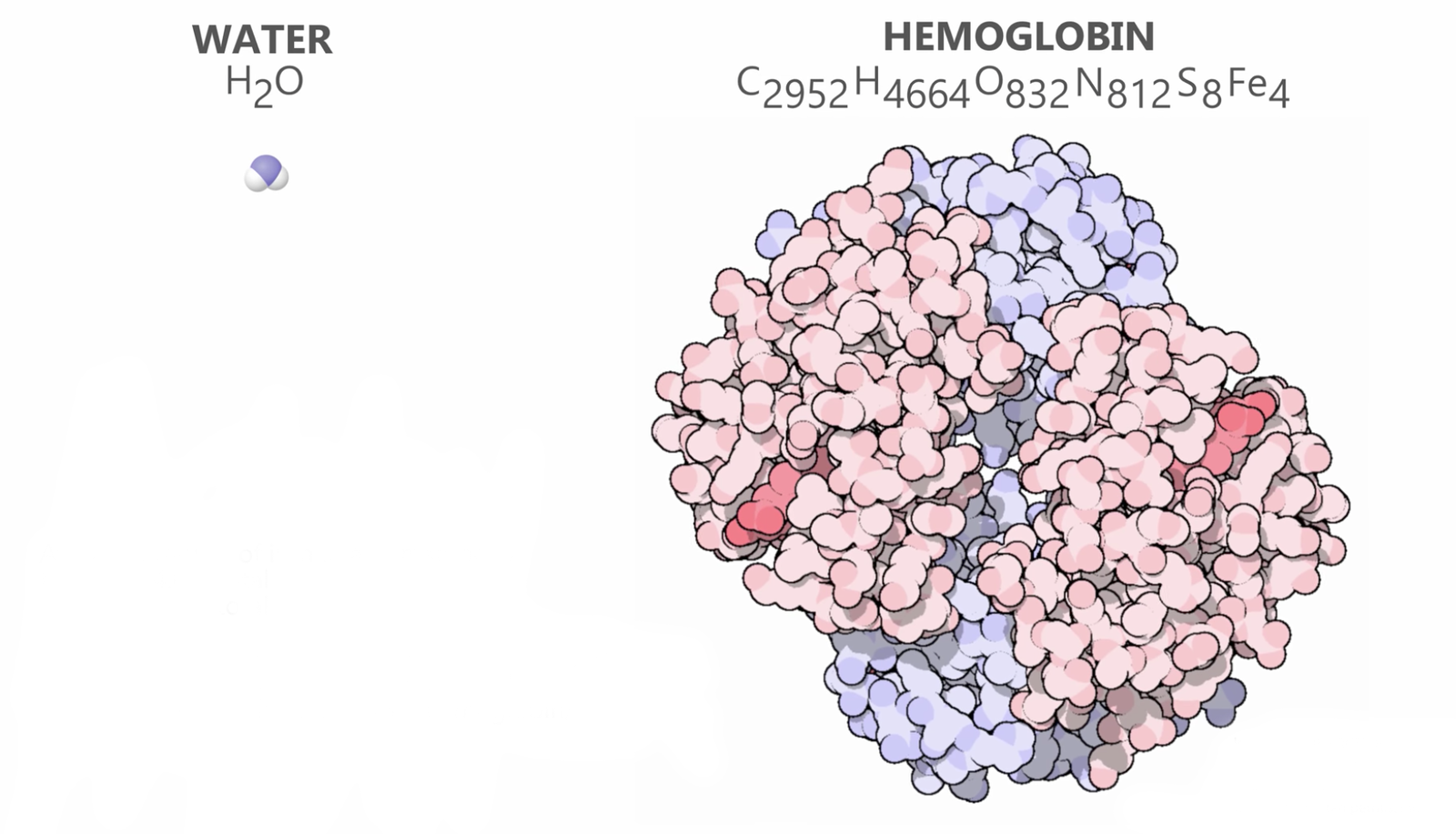 Water molecule and hemoglobin molecule - Water, Hemoglobin, Molecule, Chemistry, Video