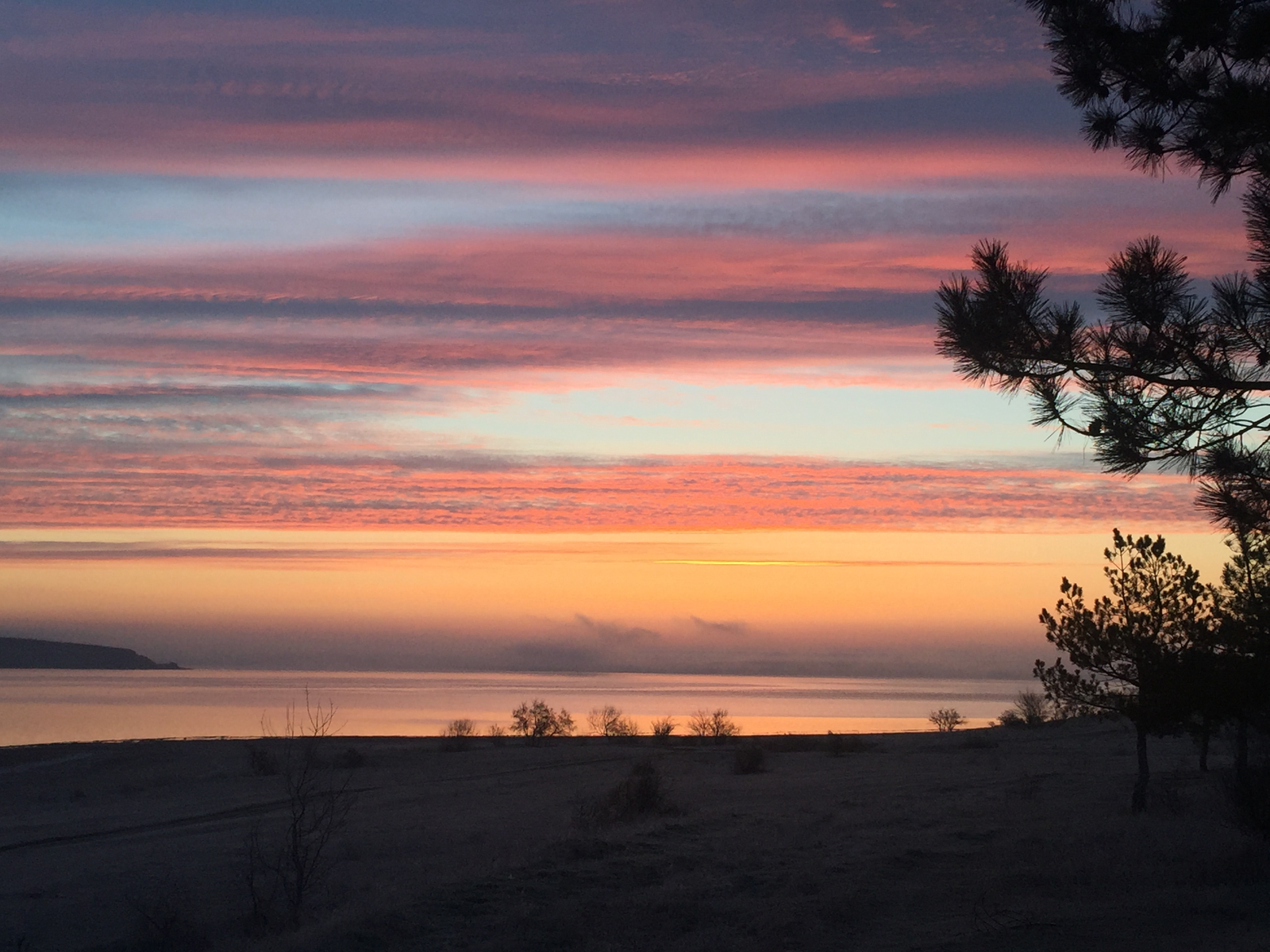 Juicy dawn. - My, dawn, Frost, Nature, Forest, Estuary, Food, Longpost