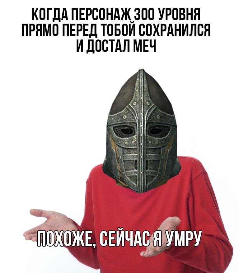 Мне пi@да - Skyrim, Видеоигра