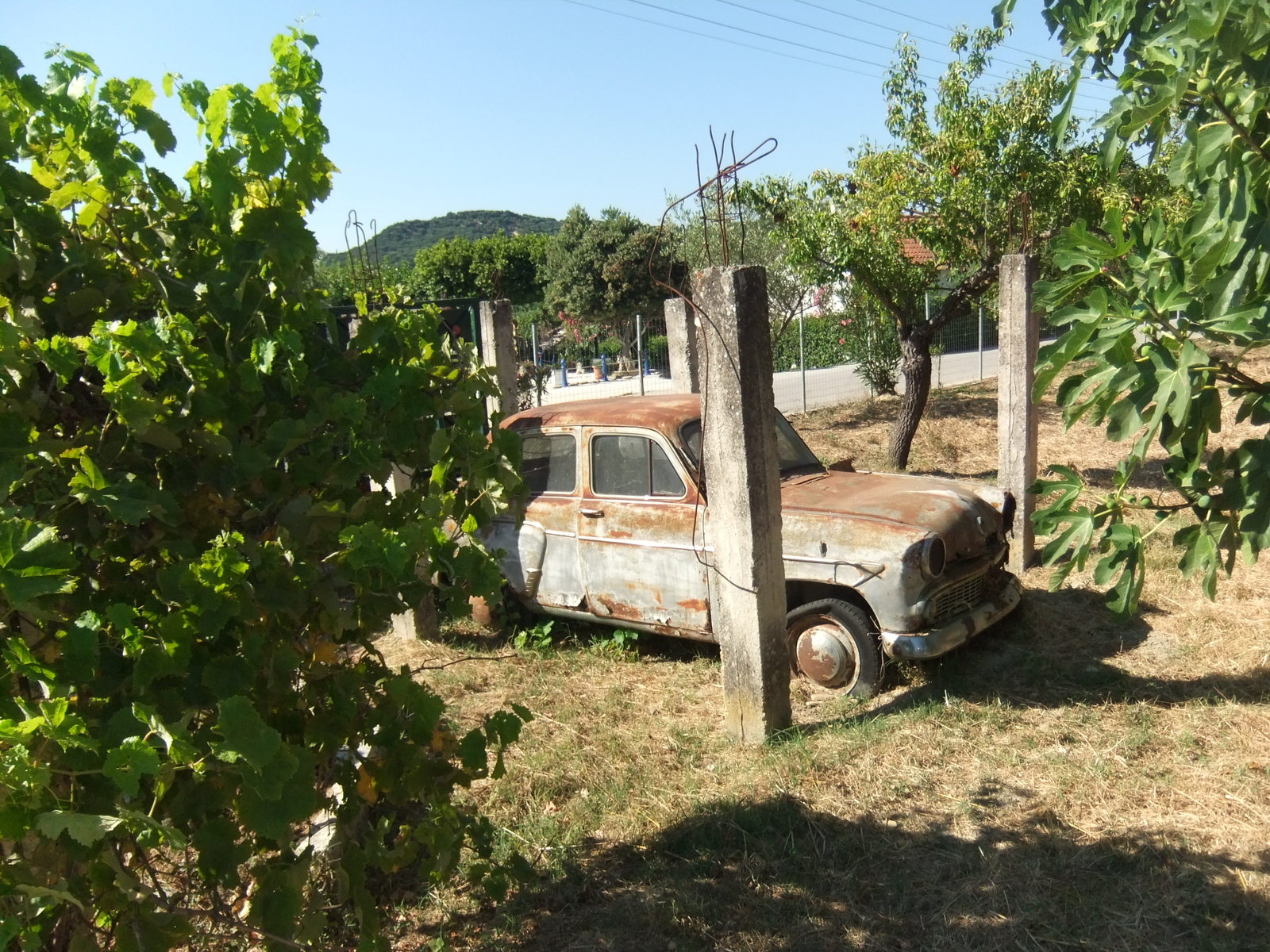 Countryman in a foreign land. - My, Moskvich, Fellow countrymen, Auto, Story, Greece, Taxi, Longpost