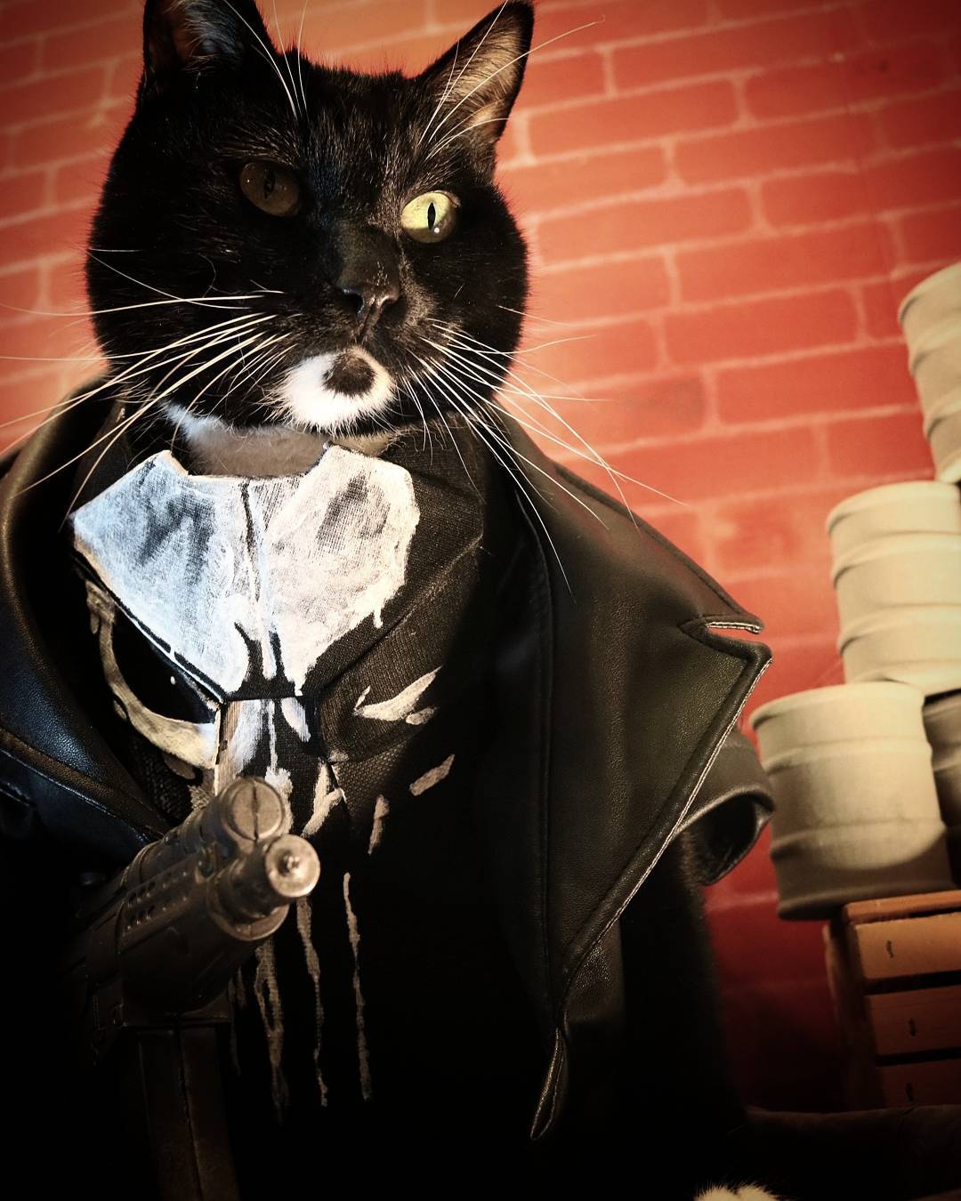 KotoCosplay #4 - Bioshock Infinite, The punisher, Cosplay, cat, Harry Potter, Very strange things, Doctor Who, GIF, Longpost, TV series Stranger Things