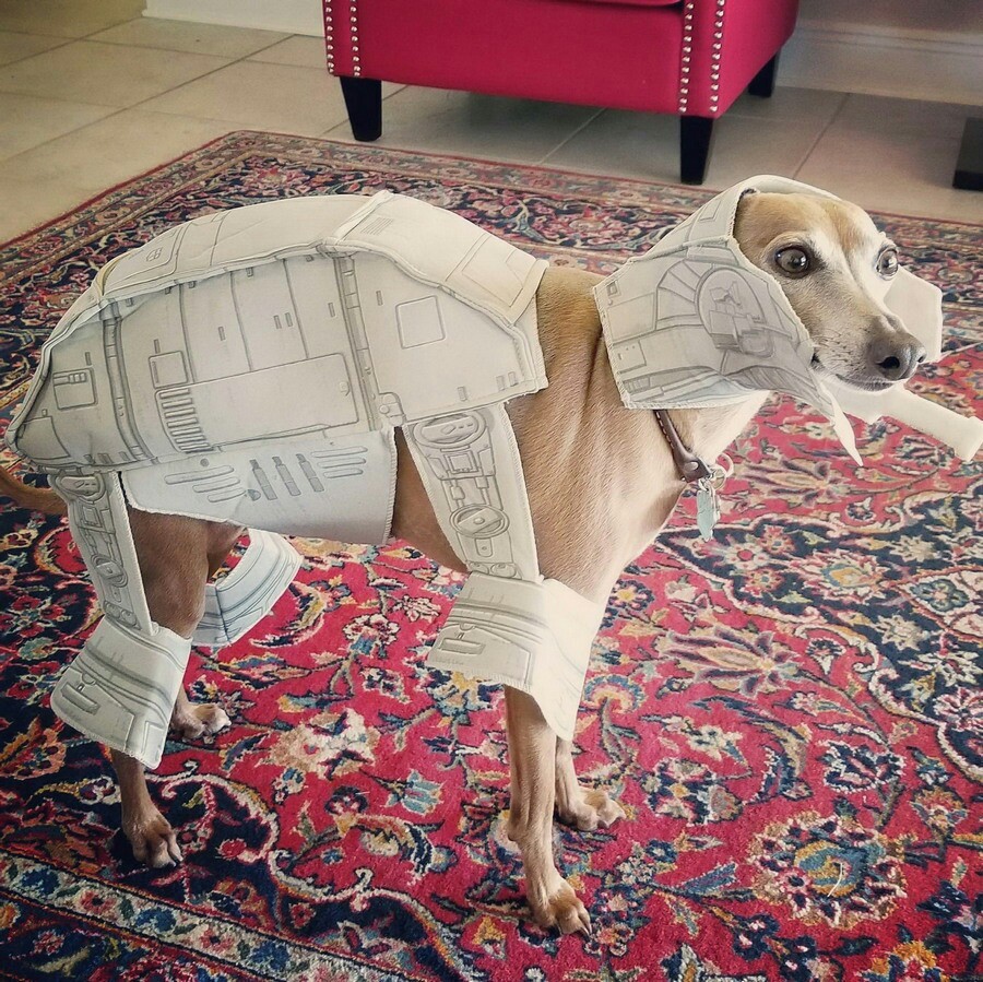 Star Wars - dog - walker. - Dog, Walker, Empire, , Star Wars, Costume