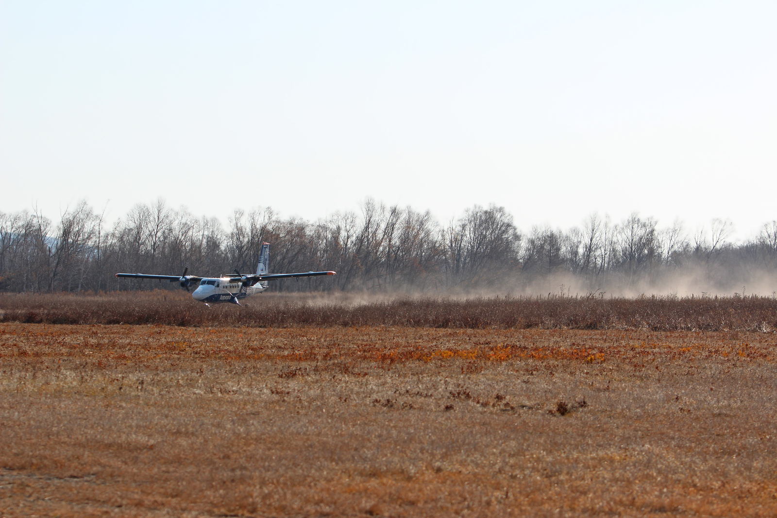 Знакомство с региональной авиацией. DHC 6-400 в Приморье - Моё, Авиация, Споттинг, Фотография, Владивосток, Терней, Длиннопост