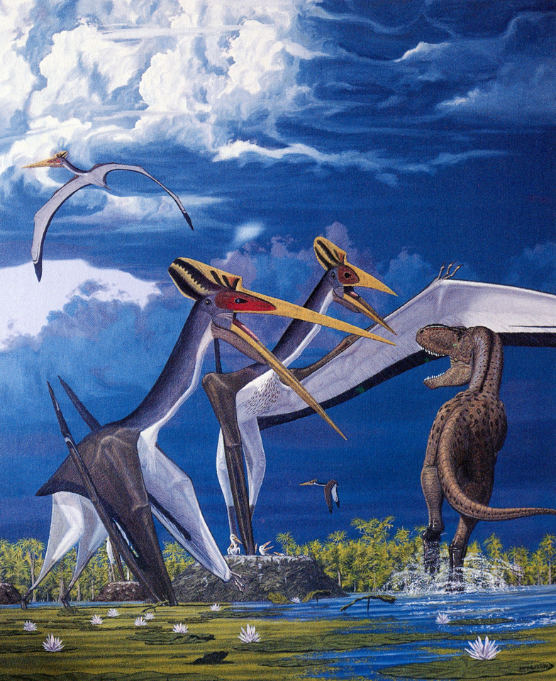 Quetzalcoatl - Quetzalcoatl, Paleontology, Pterosaurs, Prehistoric animals, Longpost