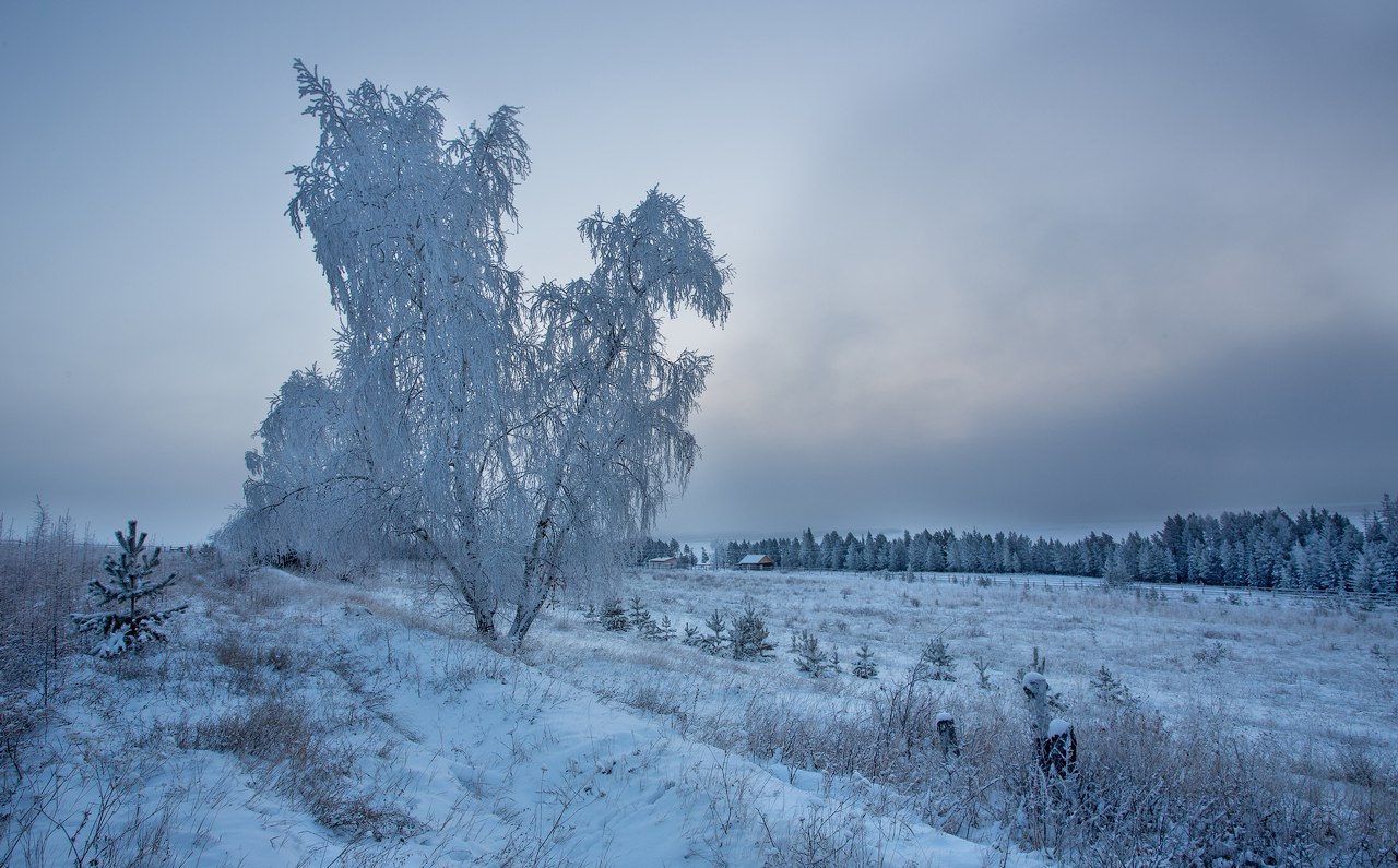 Село Еланка - Якутия, Лена, Октябрь, Осень, Снег, Природа, Пейзаж, Туризм, Длиннопост, , 2014