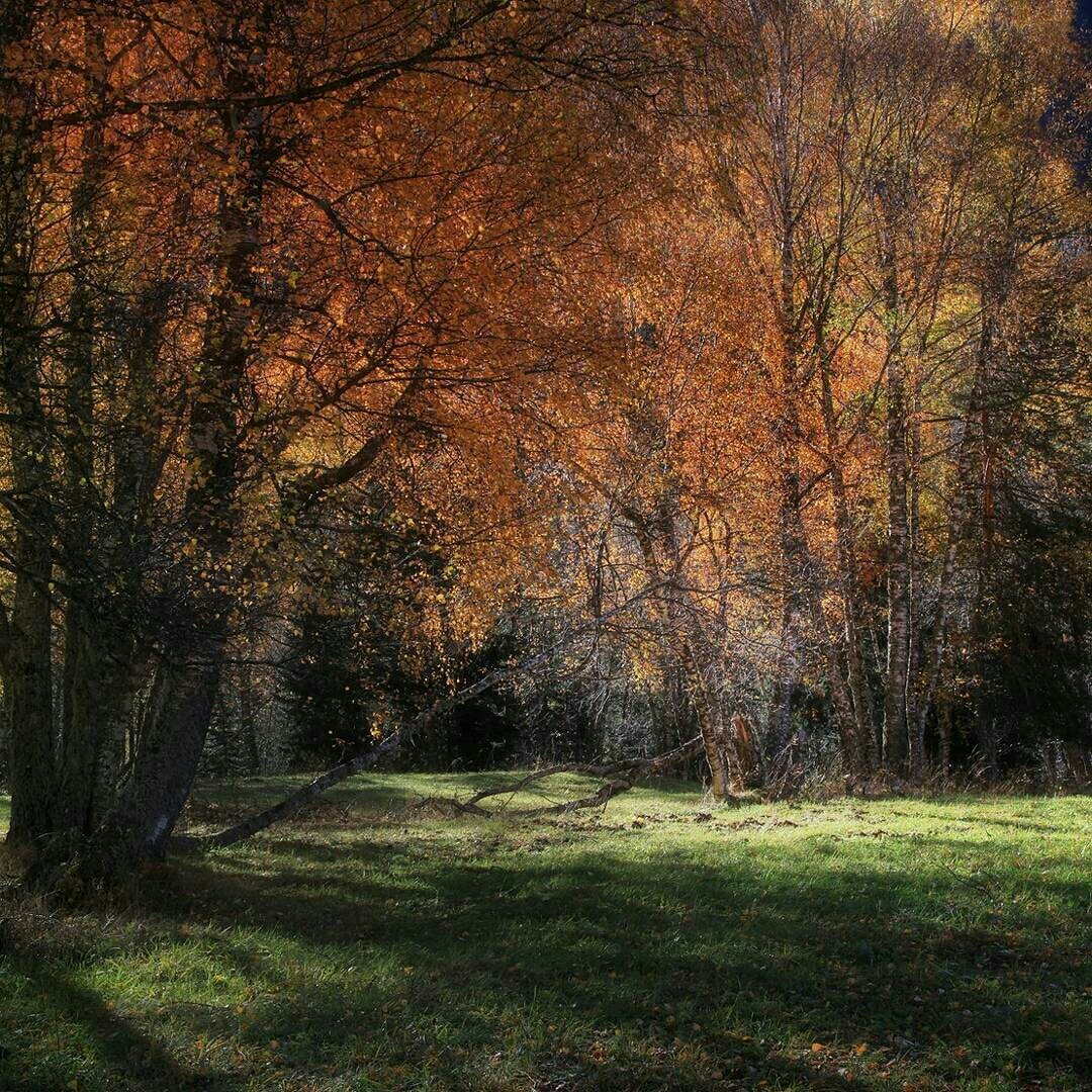 And at the end of the day, a little beauty in the feed...) - Nature, beauty, The mountains, Longpost