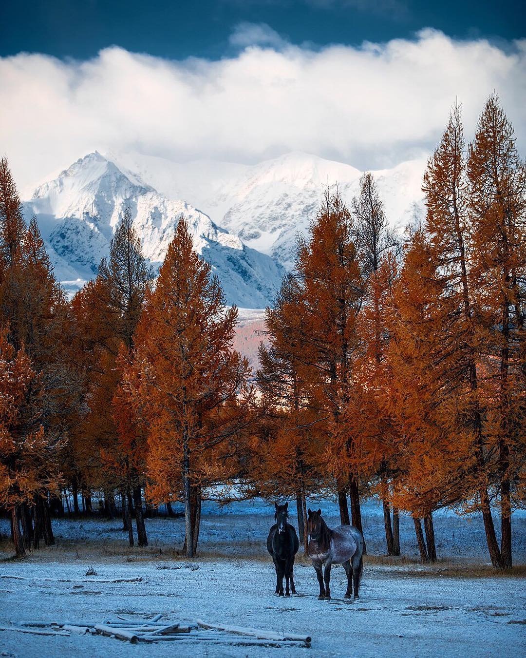 Snow-covered Gorny Altai - Mountain Altai, Altai, The photo, Instagram, Longpost, Altai Republic