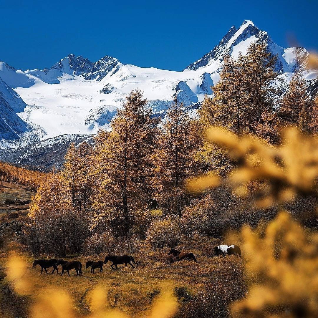 Snow-covered Gorny Altai - Mountain Altai, Altai, The photo, Instagram, Longpost, Altai Republic