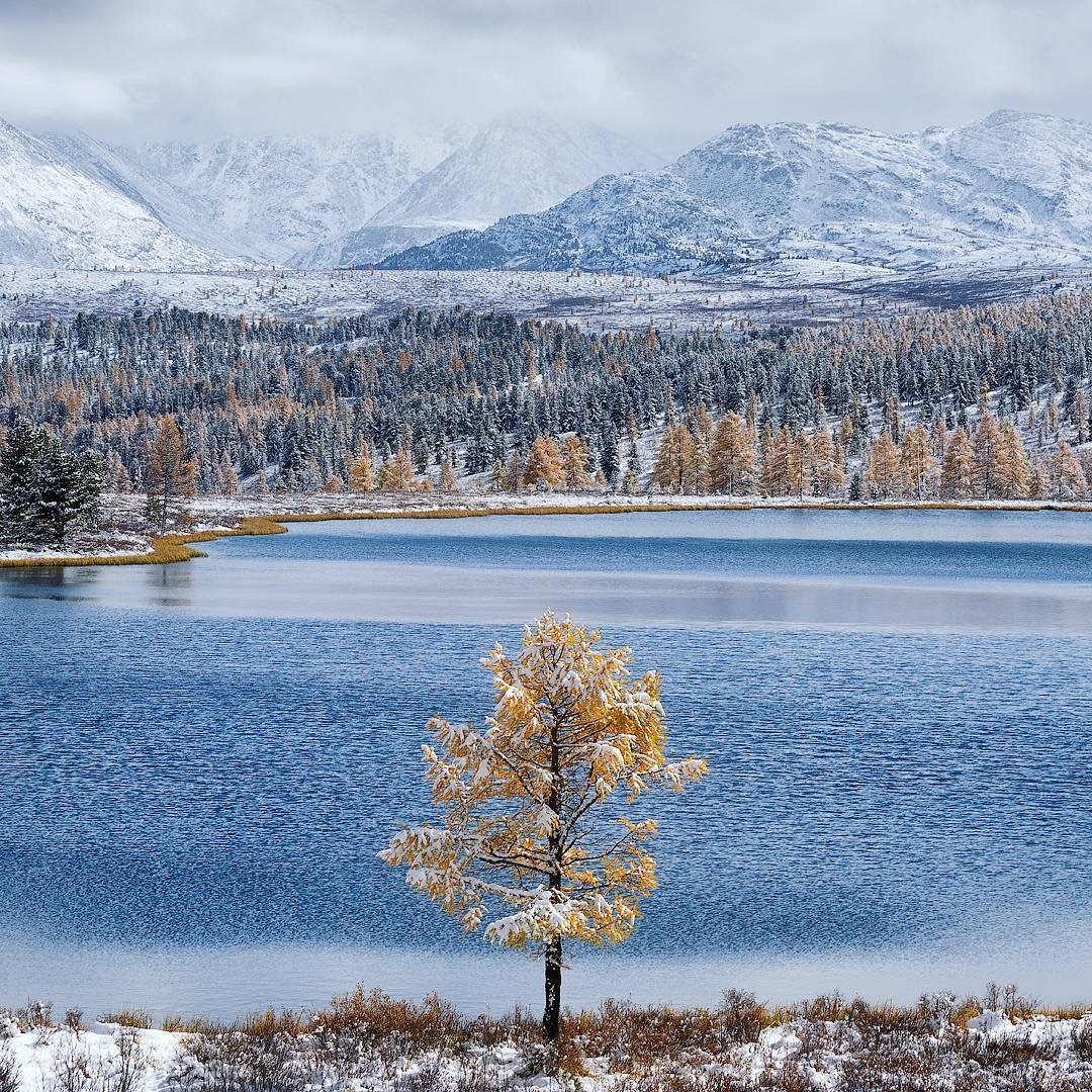 Snow-covered Gorny Altai - Mountain Altai, Altai, The photo, Instagram, Longpost, Altai Republic