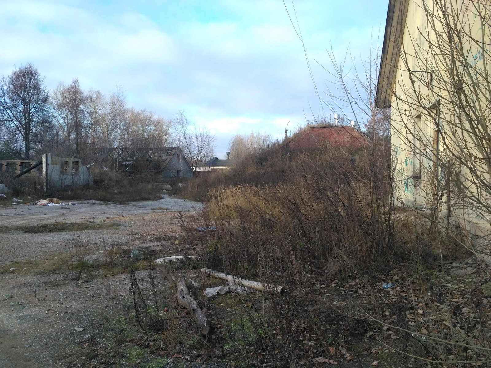 Военный городок Заря Балашиха. ЦКП ПВО В пос Заря. Поселок Заря Мирный. Войсковая часть 41107.