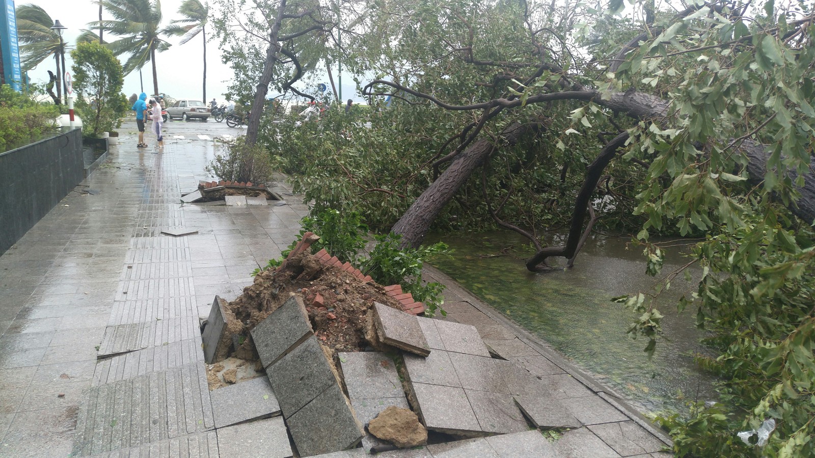 Aftermath of Typhoon Darni - My, Vietnam, Typhoon, Gookie, Johnny, Longpost