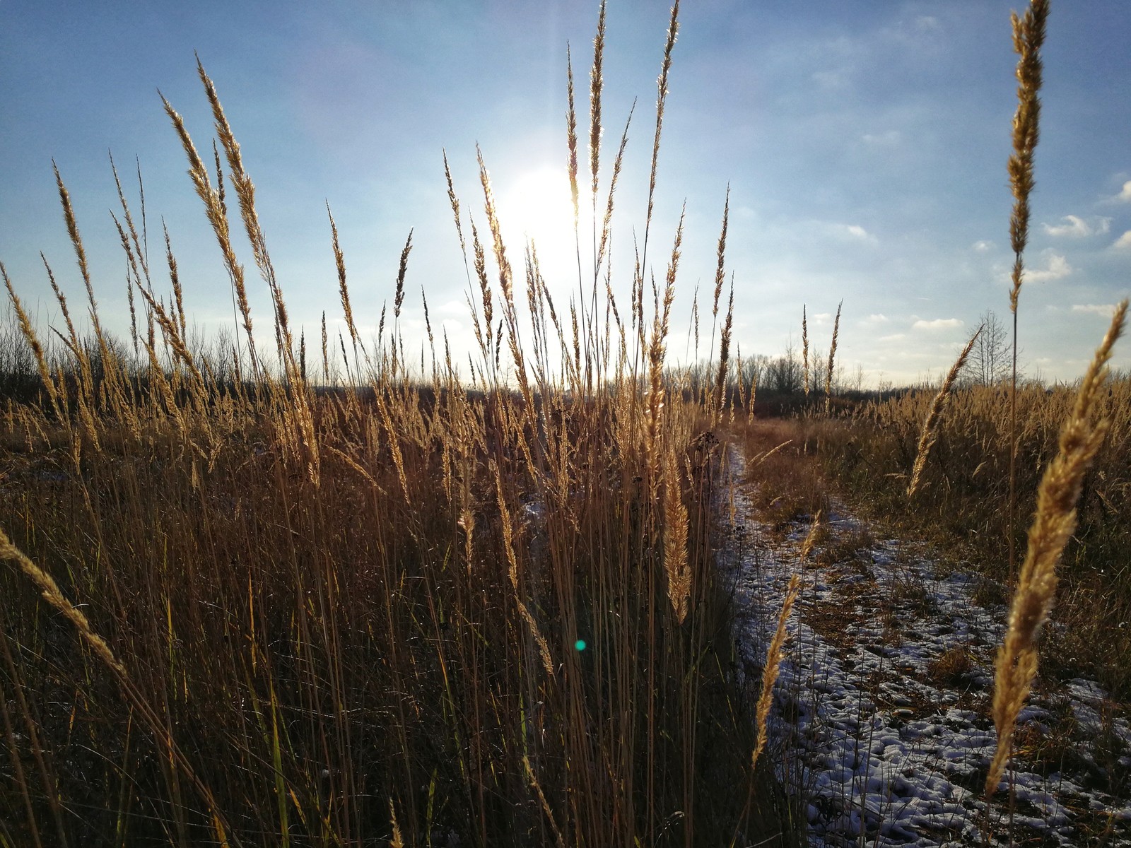 Late fall - Nature, The photo, Longpost, Dzerzhinsk, Huawei mate 9