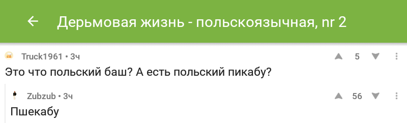 Комментарии - Комментарии на Пикабу, Комментарии, Польша, Зашакалено