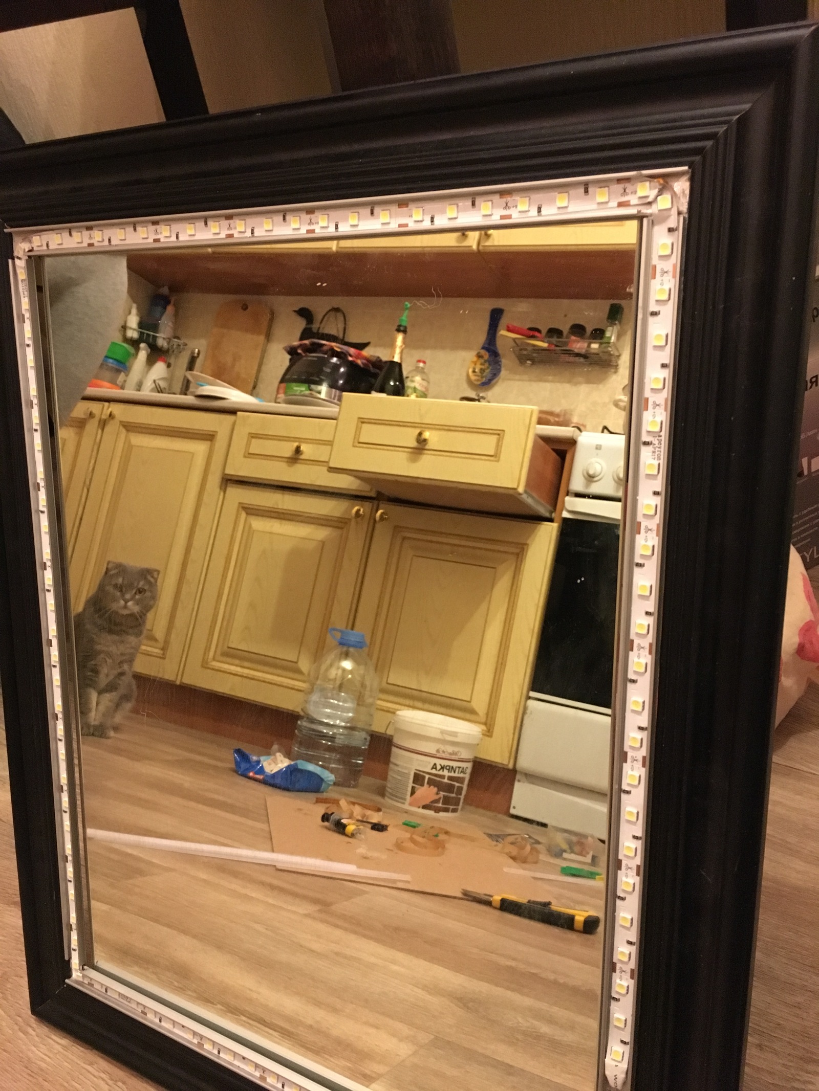 Illuminated mirror - My, Make-up mirror, Mirror, With your own hands, Repair, cat, Longpost