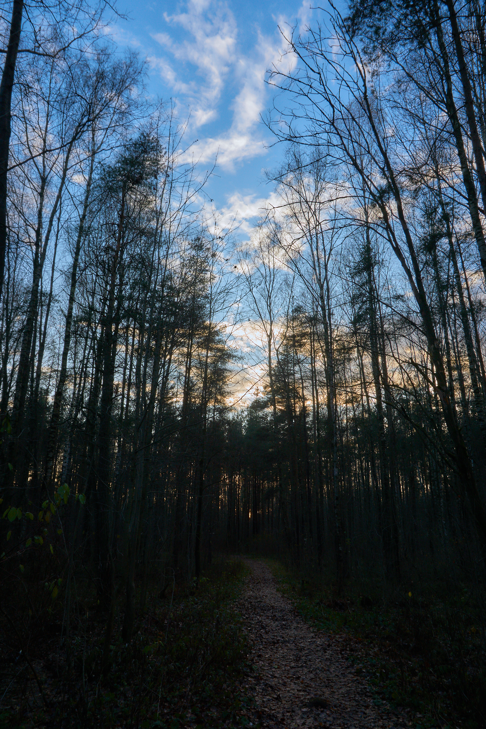 Photo hunting - My, Beginning photographer, Sosnovka Park, Longpost