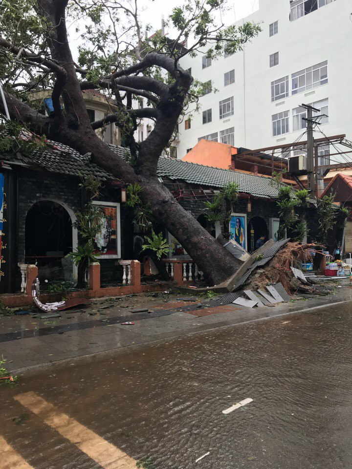 Typhoon Damri in Nha Trang (Vietnam) - Vietnam, Typhoon, Longpost