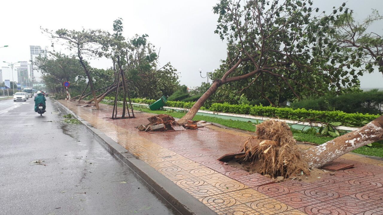 Typhoon Damri in Nha Trang (Vietnam) - Vietnam, Typhoon, Longpost