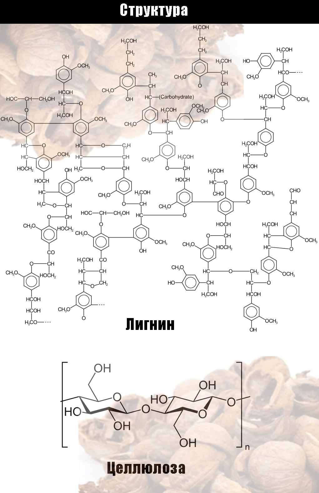 Walnut Chemistry - My, Chemistry, League of chemists, Nuts, Walnuts, Organic, Food, Longpost