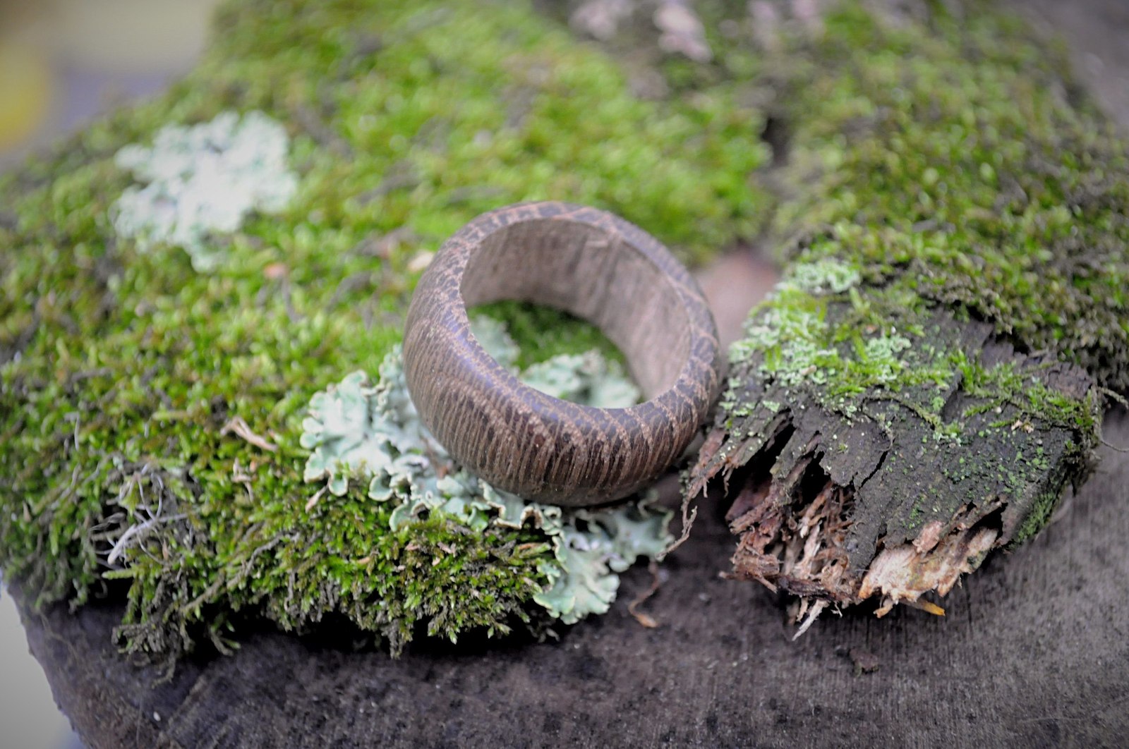 Ring made of bog oak - My, Ring made of wood, Needlework without process, With your own hands, Oak, Handmade, Handmade, Longpost