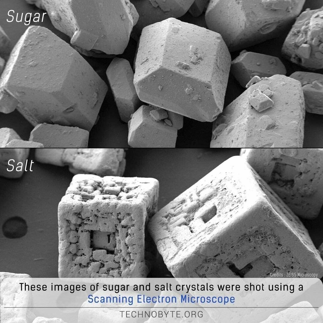 Sugar and salt under the electron microscope - Sugar, Salt, Microscope