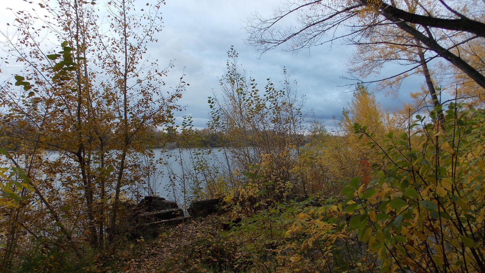 Still, autumn is beautiful in its own way ... - My, , , Autumn, , Kemerovo