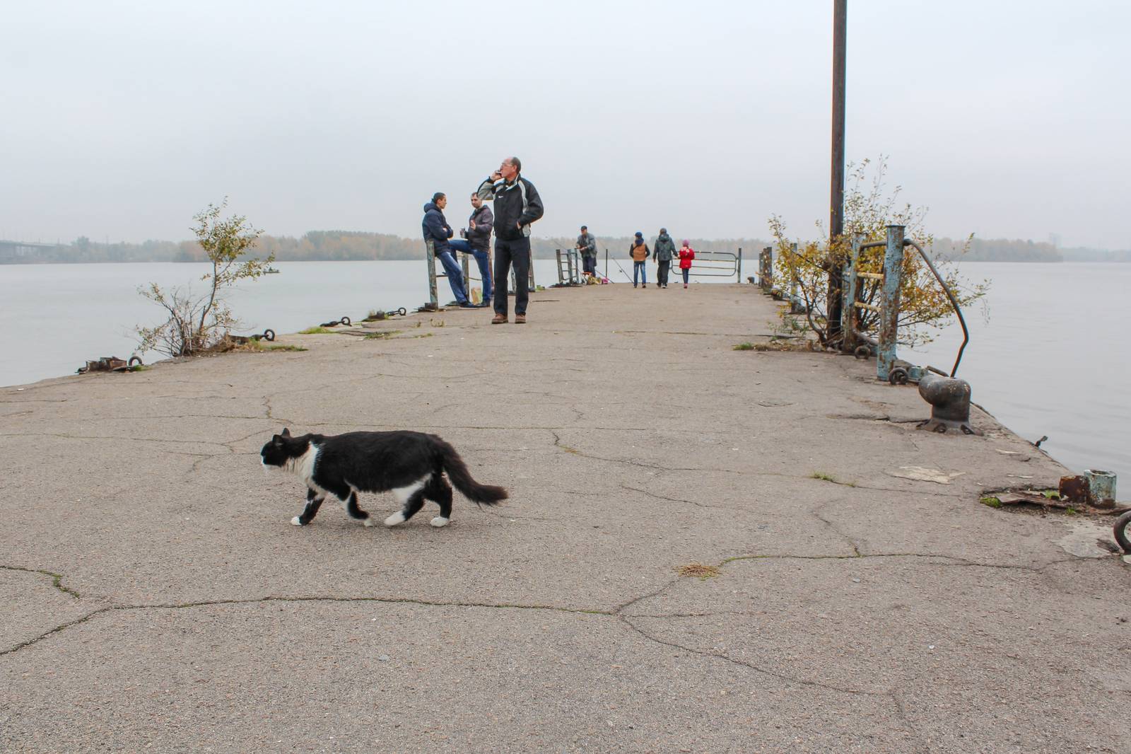 Near the rechport. - My, My, Moment, Rechport, cat, Graffiti, Locomotive, River vessel, Autumn, Longpost