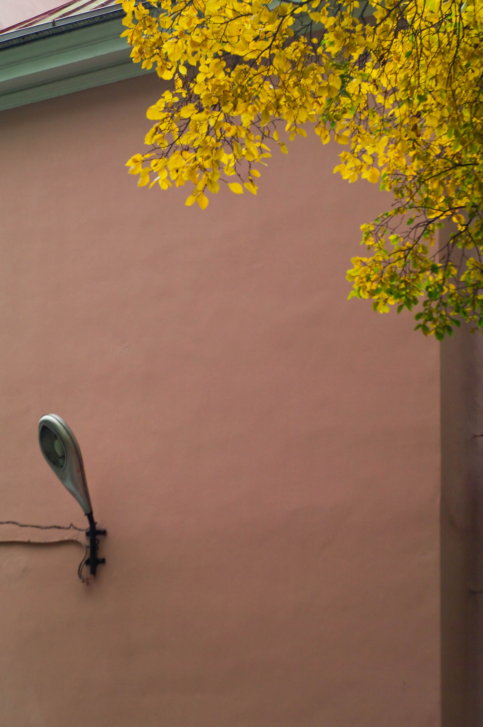 A little more Petersburg comfort. - My, The photo, Autumn, Saint Petersburg, Black River, Village, Courtyard, Porch, Longpost