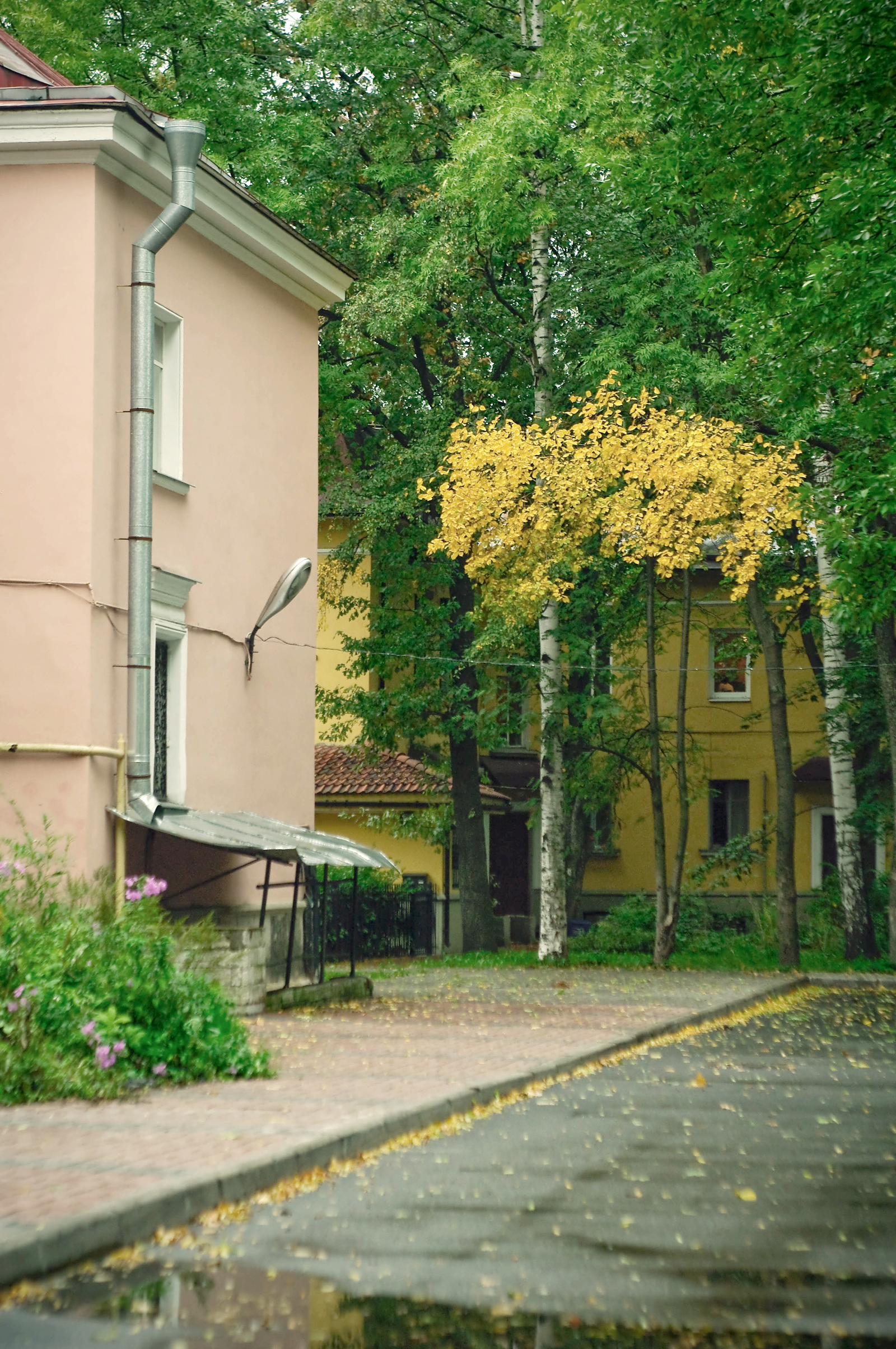 Еще немножко питерского уюта. - Моё, Фотография, Осень, Санкт-Петербург, Черная речка, Деревня, Двор, Крыльцо, Длиннопост