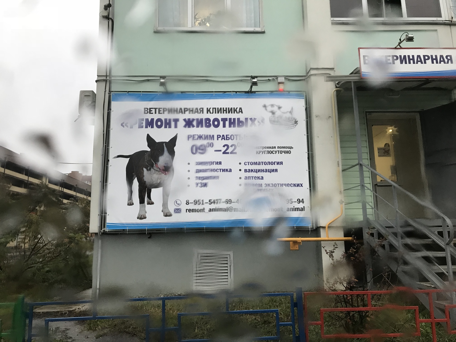 Retirement collapse of a boxer? - My, Voronezh, Humor