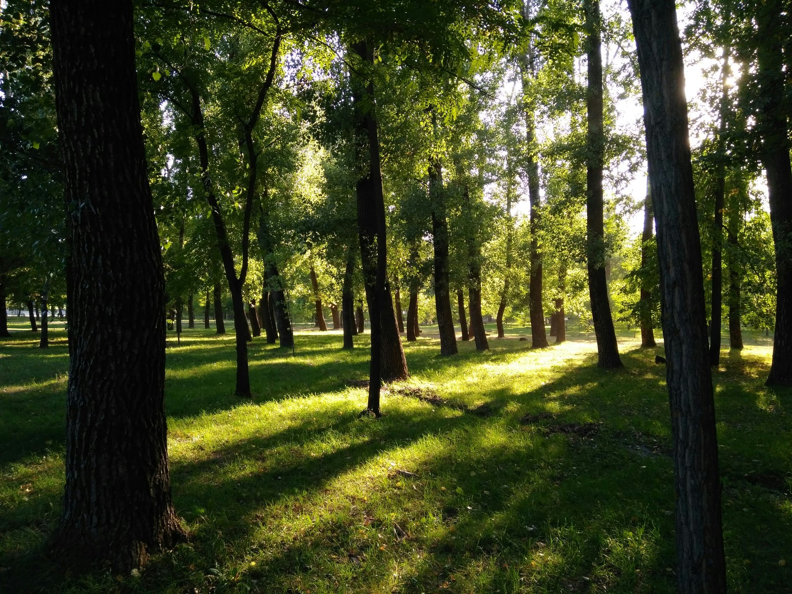 Белгородский катарсис - Моё, Фотография, Белгород, Красота, Длиннопост