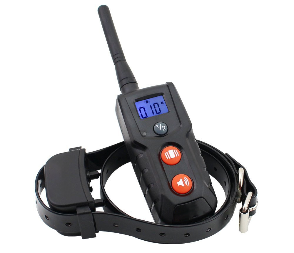 About electronic collars - My, Dog, Training, Education, Collar, Video, Longpost