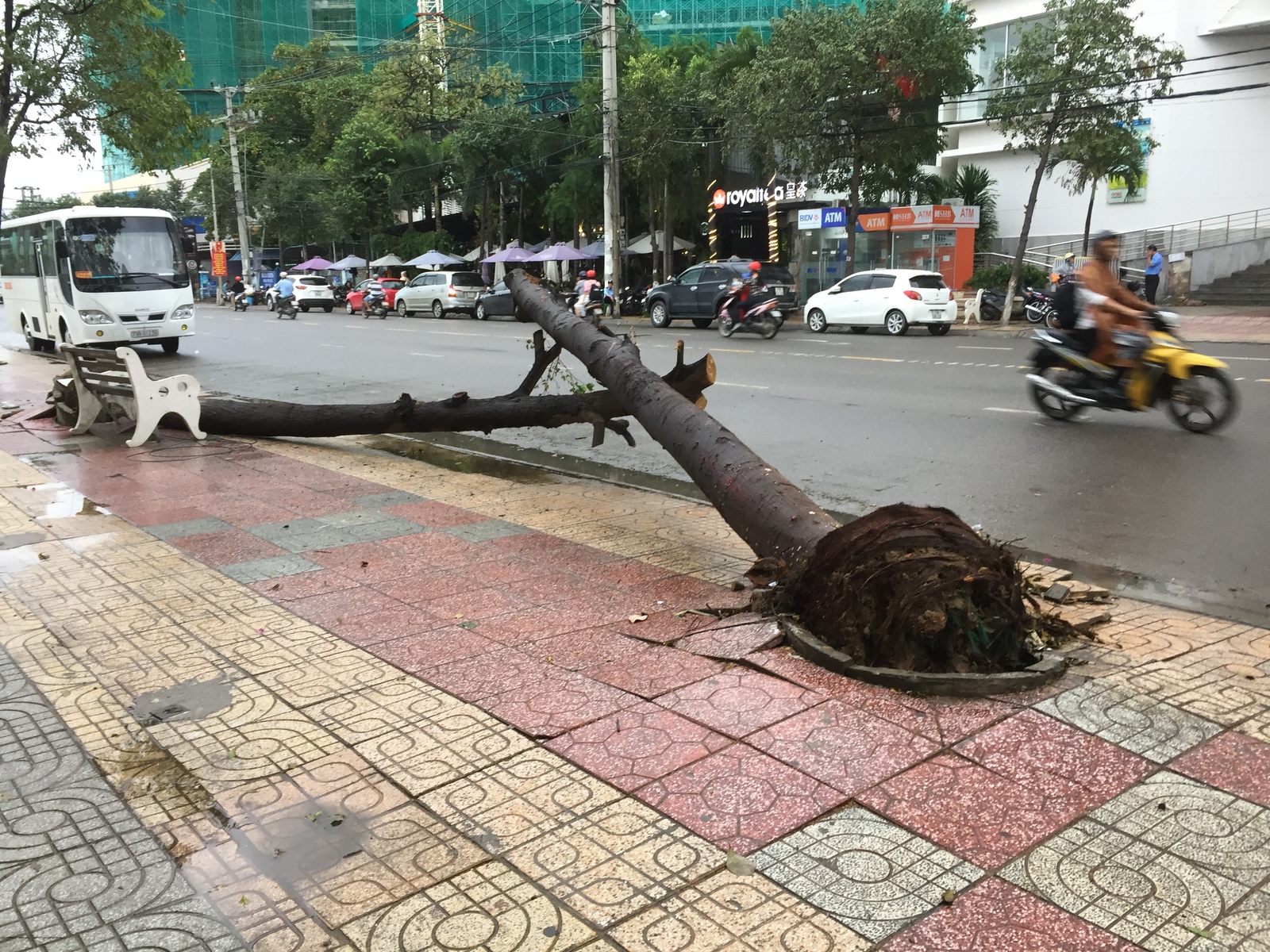 Typhoon aftermath in Vietnam. - My, Vietnam, Nha Trang, Longpost