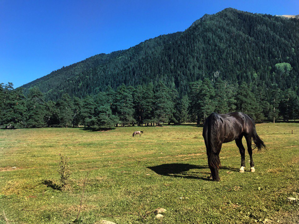 From the Summer Archive - My, Relaxation, Arkhyz, The photo, Nature, The mountains, Longpost