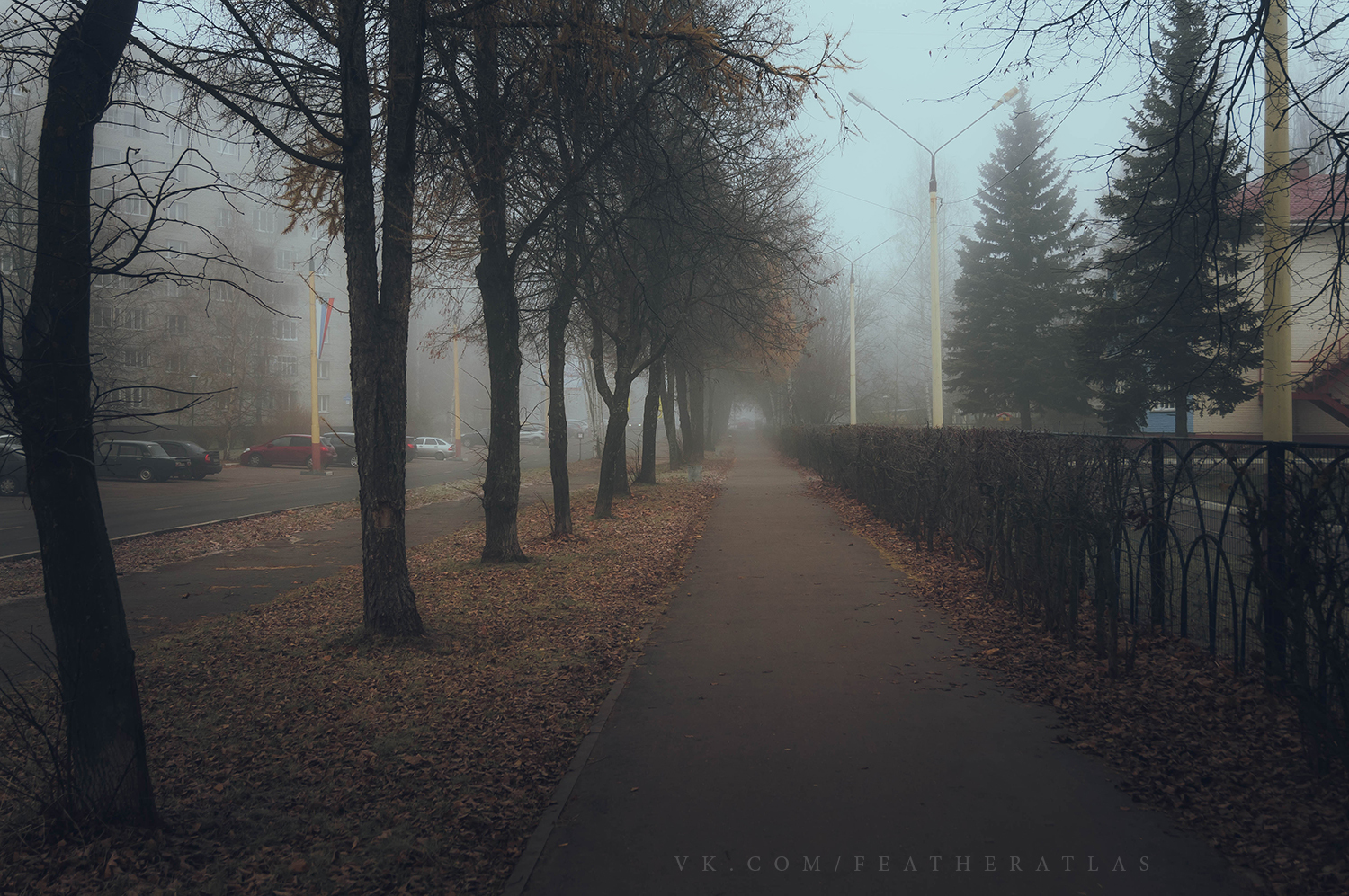 Fog - My, Featheratlas, Landscape, Town, Fog, Longpost