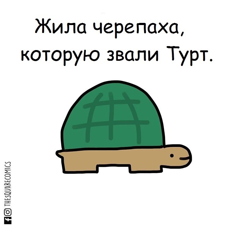 Square Comics: Turtle Turt - Web comic, Translated by myself, Thesquarecomics, Longpost